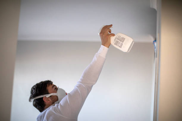 Best Water Damage Restoration  in Folsom, CA